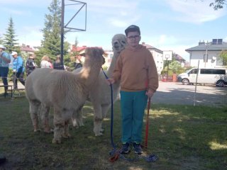 Dzień Godności Osób z Niepełnosprawnością Intelektualną