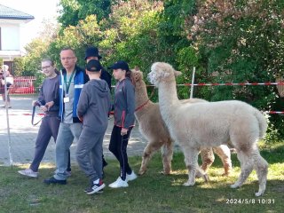 Dzień Godności Osób z Niepełnosprawnością Intelektualną
