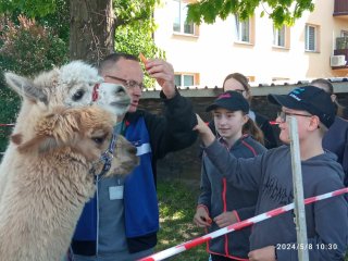 Dzień Godności Osób z Niepełnosprawnością Intelektualną