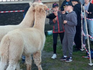 Dzień Godności Osób z Niepełnosprawnością Intelektualną