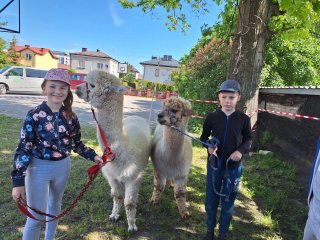 Dzień Godności Osób z Niepełnosprawnością Intelektualną