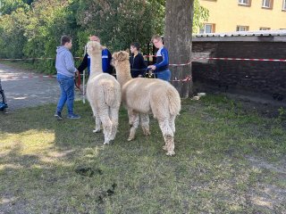 Dzień Godności Osób z Niepełnosprawnością Intelektualną