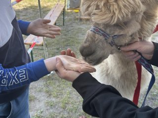 Dzień Godności Osób z Niepełnosprawnością Intelektualną