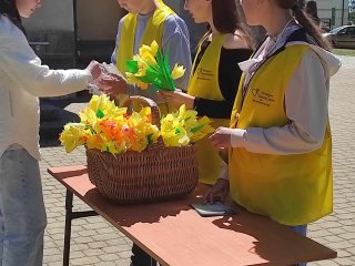 „Pola nadziei” – wspieramy Hospicjum Santa Galla