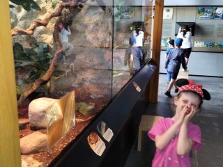 Wycieczka przedszkolaków i klasy 1c 