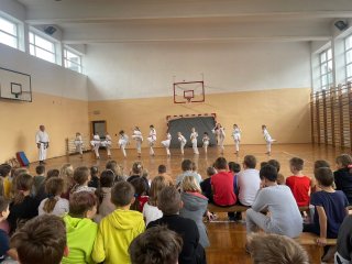 Pokazy karate