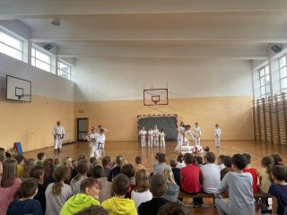 Pokazy karate