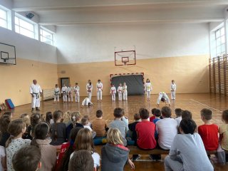Pokazy karate