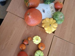 „LITERKI W AKCJI” – JESIENNE ZADANIE KLASY 1a